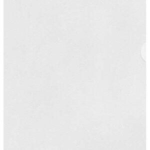 esselte caja de 100 dossiers uñero formato a4 lamina de pp piel de naranja grosor 0.11mm