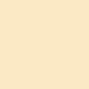 canson guarro pack de 25 cartulinas iris de 185g 50x65cm color cascara huevo