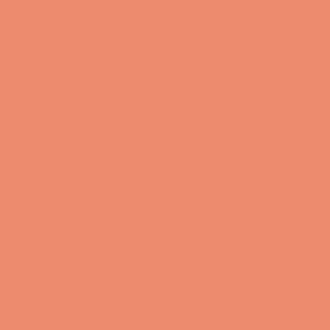 canson guarro pack de 25 cartulinas iris de 185g 50x65cm color coral