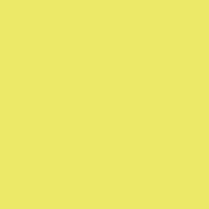 canson guarro pack de 25 cartulinas iris de 185g 50x65cm color kiwi