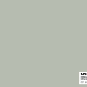 apli cartulina gris 50 x 65cm 170g 25 hojas