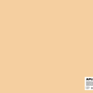 apli cartulina salmon 50 x 65mm 170g 25 hojas