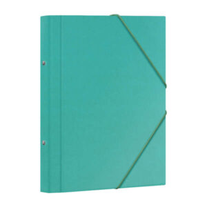 dohe carpeta clasificadora 12 departamentos formato folio carton plastificado cierre con gomas color verde claro