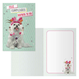 dohe pack de 6 tarjetas de felicitacion de cumpleaños 11.5x17cm impresion a todo color estampaciones con pelicula de color papel offset blanco de 300gr incluye sobre de color