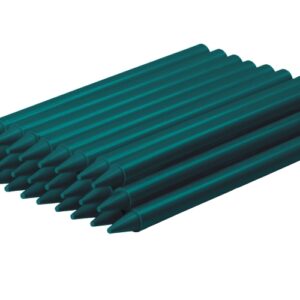 jovi plasticolor estuche de 25 ceras plasticas resistentes no manchan agradable de rayar acabado brillante gran duracion color verde
