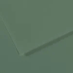 canson mi teintes pack de 10 hojas 160 g/m² tamaño 50 x 65cm doble cara grano nido de abeja y grano fino certificado fsc color verde salvia