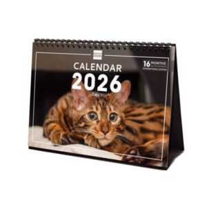 finocam calendario de sobremesa internacional anual 2026 imagenes variadas 210x70x155mm tematica de gatos