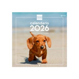 finocam calendario de pared anual 2026 imagenes variadas 300x300mm espacio para escribir tematica de cachorros