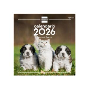 finocam calendario de pared anual 2026 imagenes variadas 300x300mm espacio para escribir tematica de perros y gatos