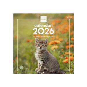 finocam calendario de pared en catalan anual 2026 imagenes variadas 300x300mm espacio para escribir tematica de gatos