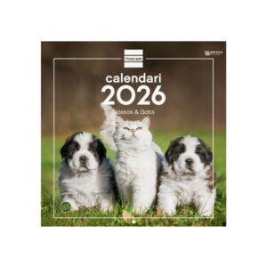 finocam calendario de pared en catalan anual 2026 imagenes variadas 300x300mm espacio para escribir tematica de perros y gatos