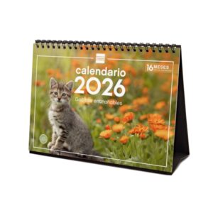 finocam calendario de sobremesa anual 2026 imagenes variadas espacio para escribir tematica de gatos