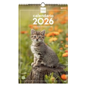 finocam calendario de pared anual 2026 imagenes variadas con espiral espacio para escribir tematica de gatos