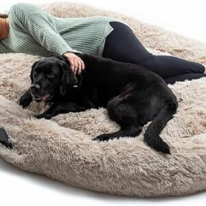 innovagoods cama extragrande para mascotas y humanos bolsillo lateral antideslizante facil limpieza poliester ergonomico funda extraible 190x140x25cm color beige